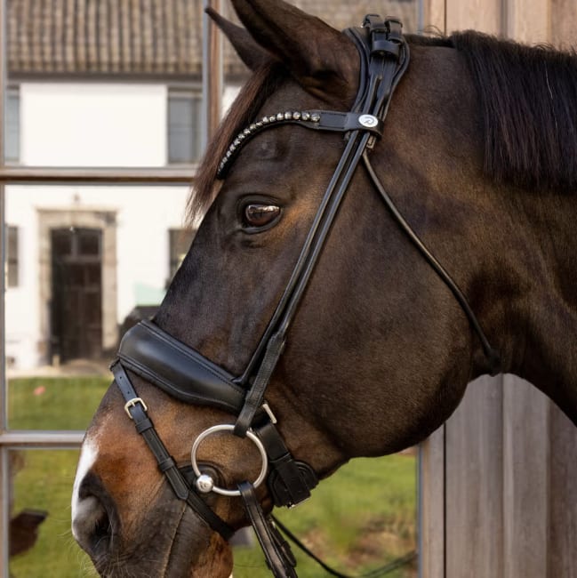 Dyon ComfoHead Bridle Working By Dyon