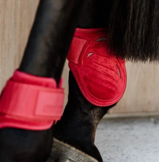 Kentucky Young Horse Fetlock Boots Velvet
