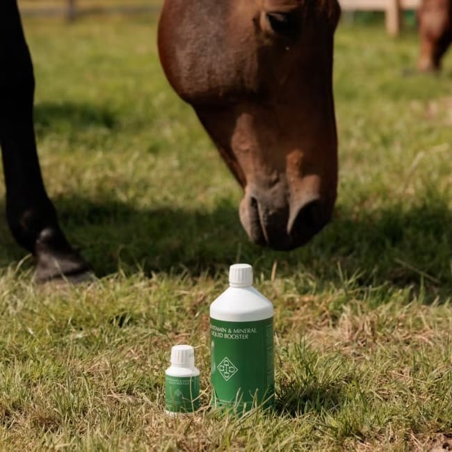 Grooming Deluxe Vitamin & Mineral Liquid Booster