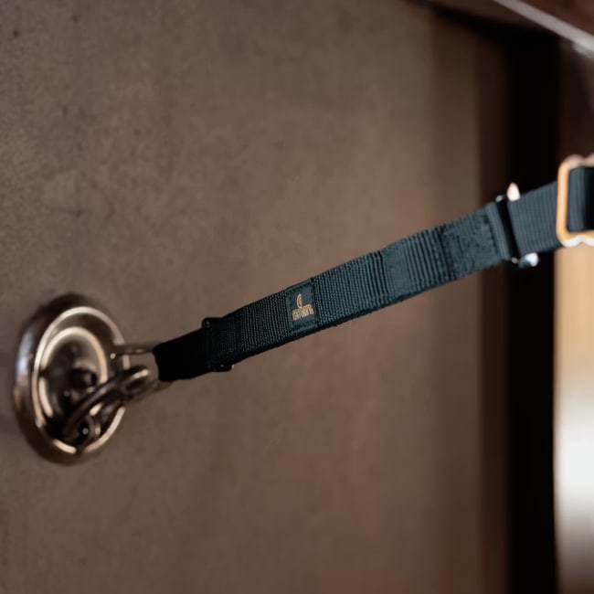 Kentucky Horse Box Lead & Cross Ties Safety