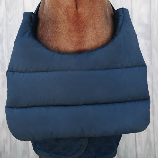 Kentucky Horse BIB Summer