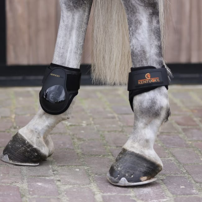 Kentucky Young Horses Fetlock Boots