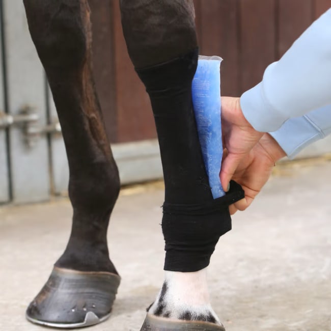 Kentucky Tendon Grip