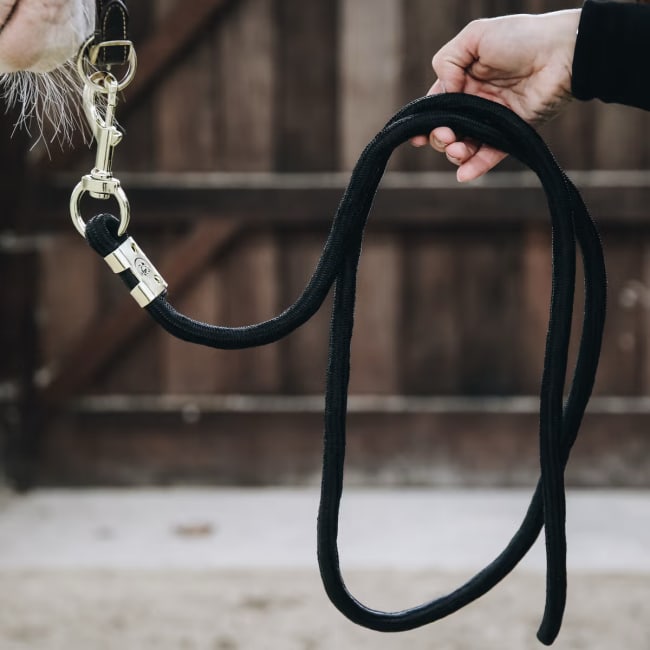 Kentucky Lead Rope Basic