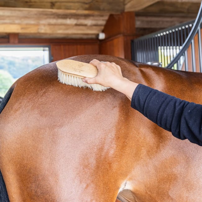 Grooming Deluxe Wooden Classic Brush Medium Hard