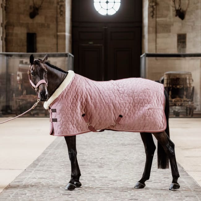 Kentucky Show Rug Velvet