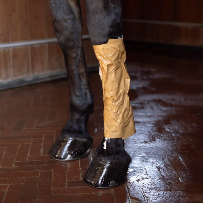 Grooming Deluxe Horse Leg Clay Paper