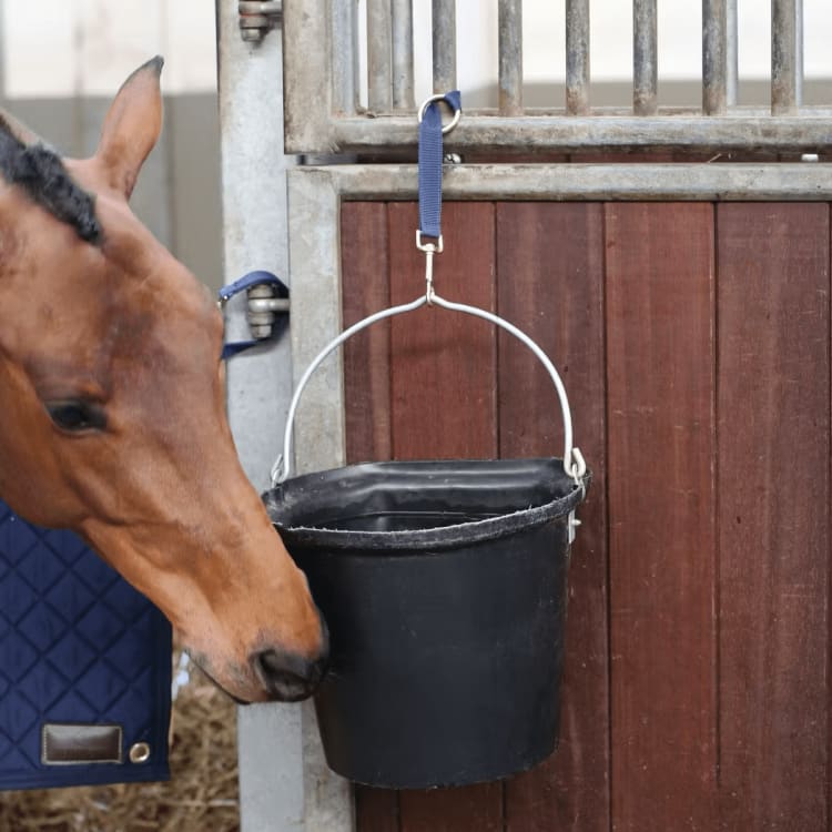 Kentucky Nylon Holder