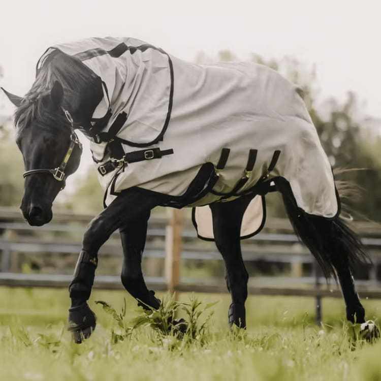 Kentucky Mesh Fly Rug