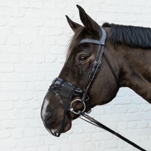 Kentucky Anti Fly Nose Net – nesebeskyttelse for hest