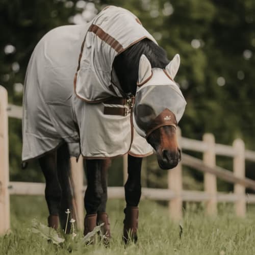 Kentucky Mesh Fly Rug Classic – fluedekken til hest
