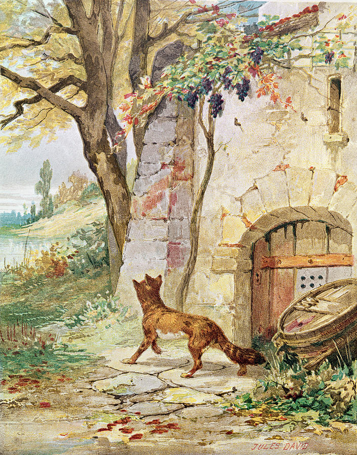 Fox and the Grapes