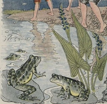 Boys and the Frogs