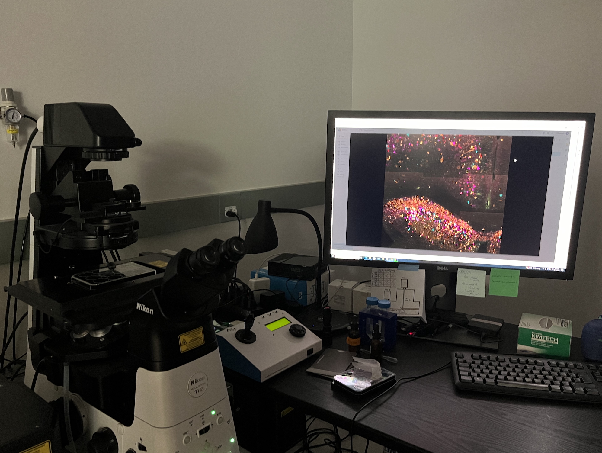 A light microscope and image of a barcoded hippocampus at E11 Bio.