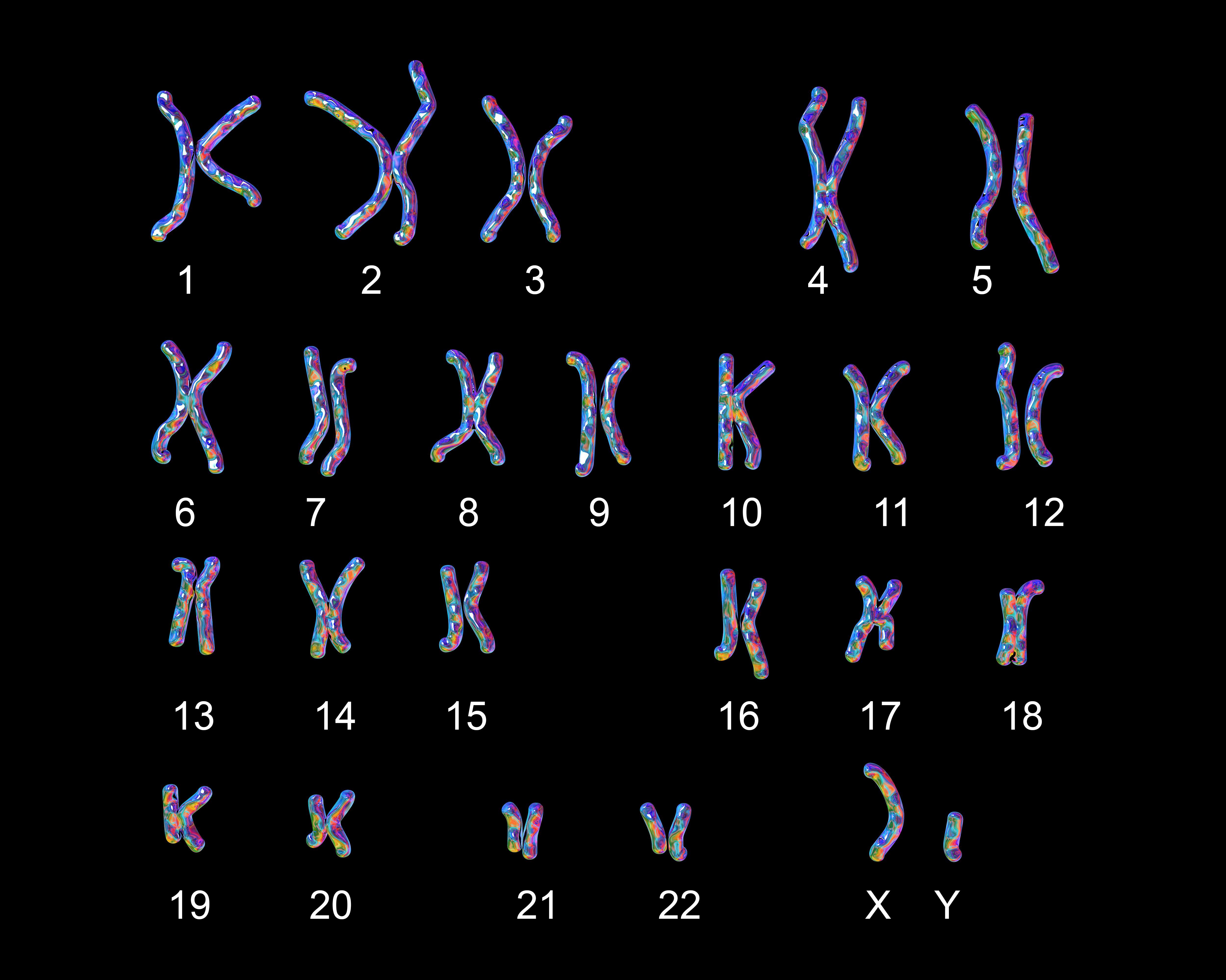 A karyotype showing the 23 sets of human chromosomes.