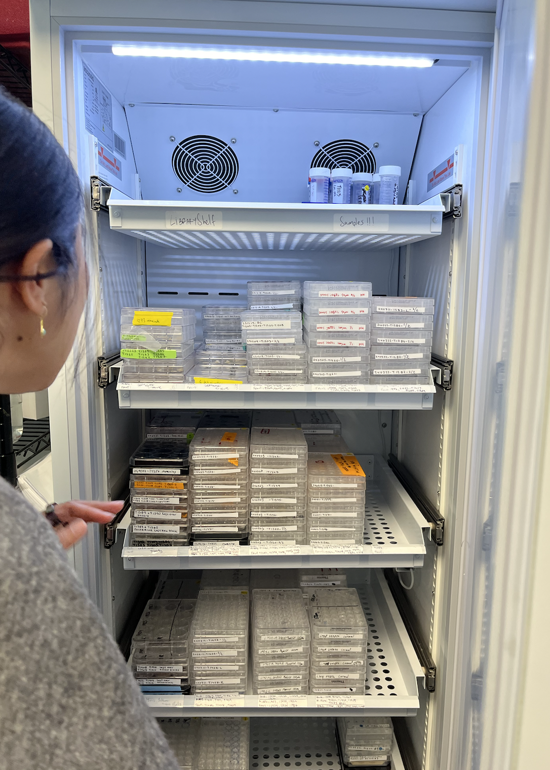 Freezer at E11 Bio filled with stacks of tissue samples.