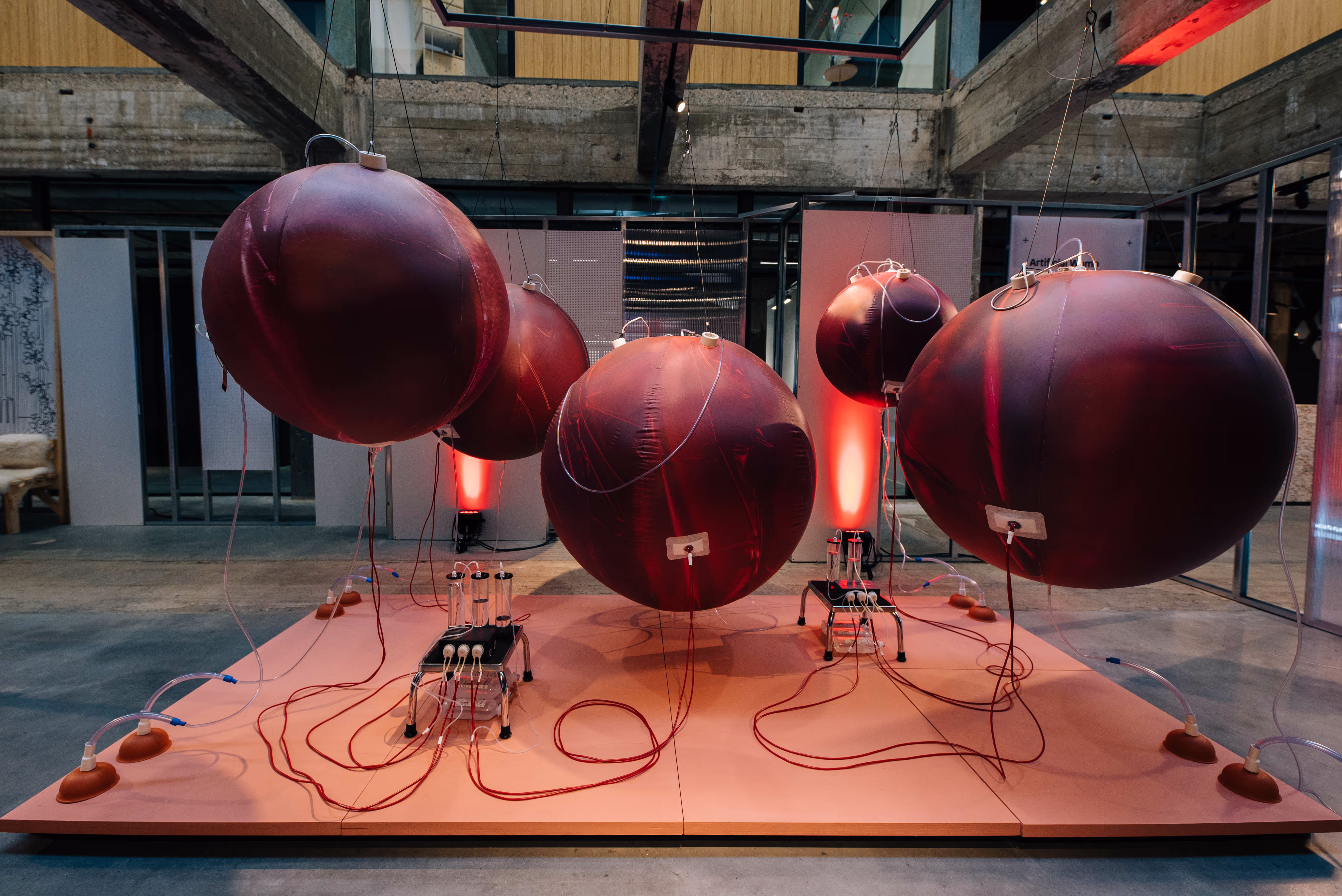 Balloon-like pods, or artificial womb prototypes, designed by researchers in the Netherlands to expand in size as a fetus grows.
