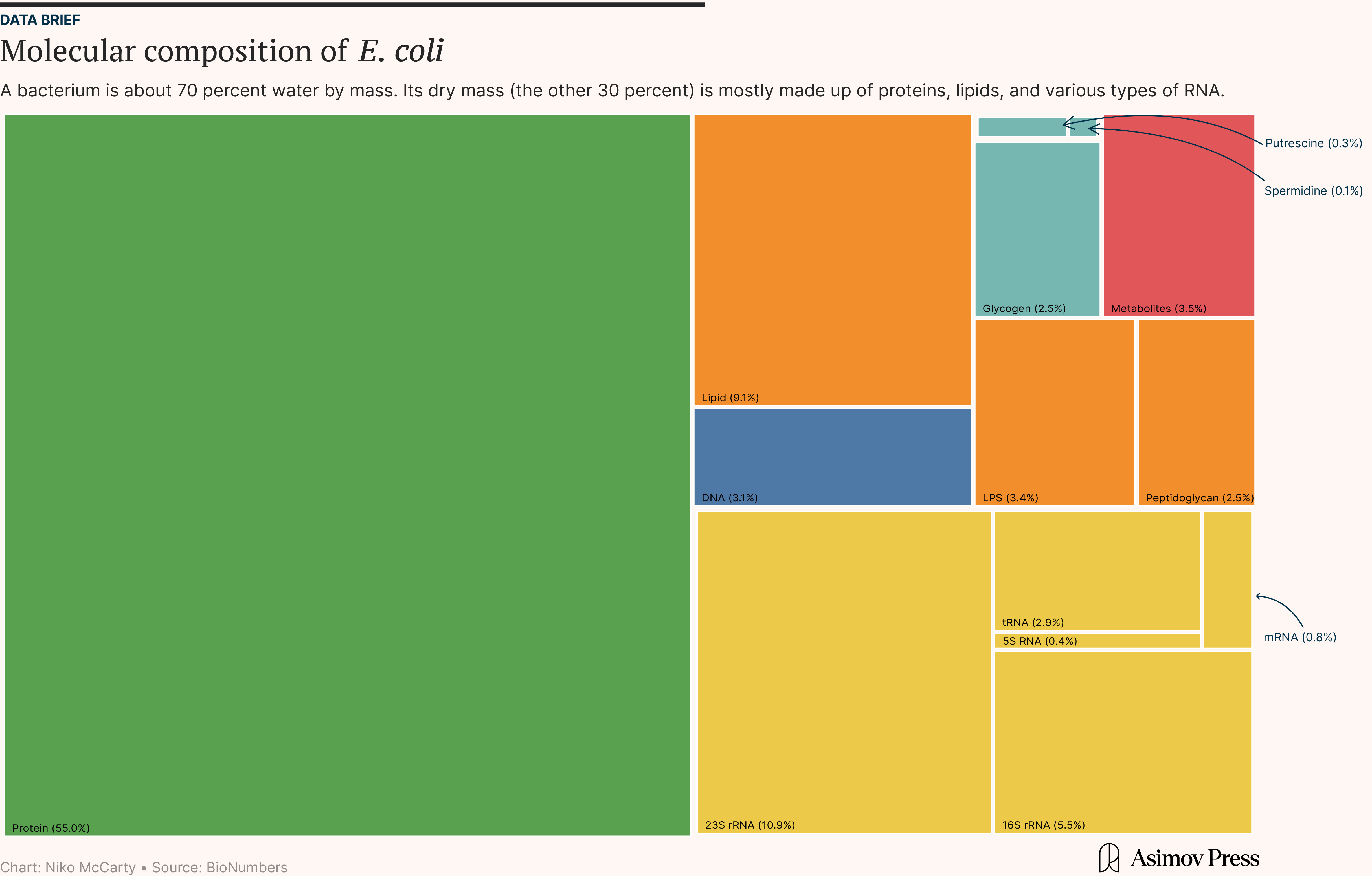 Chart breaking down the dry mass of an E. coli cell into proteins, RNA, lipids, DNA, and other molecules.