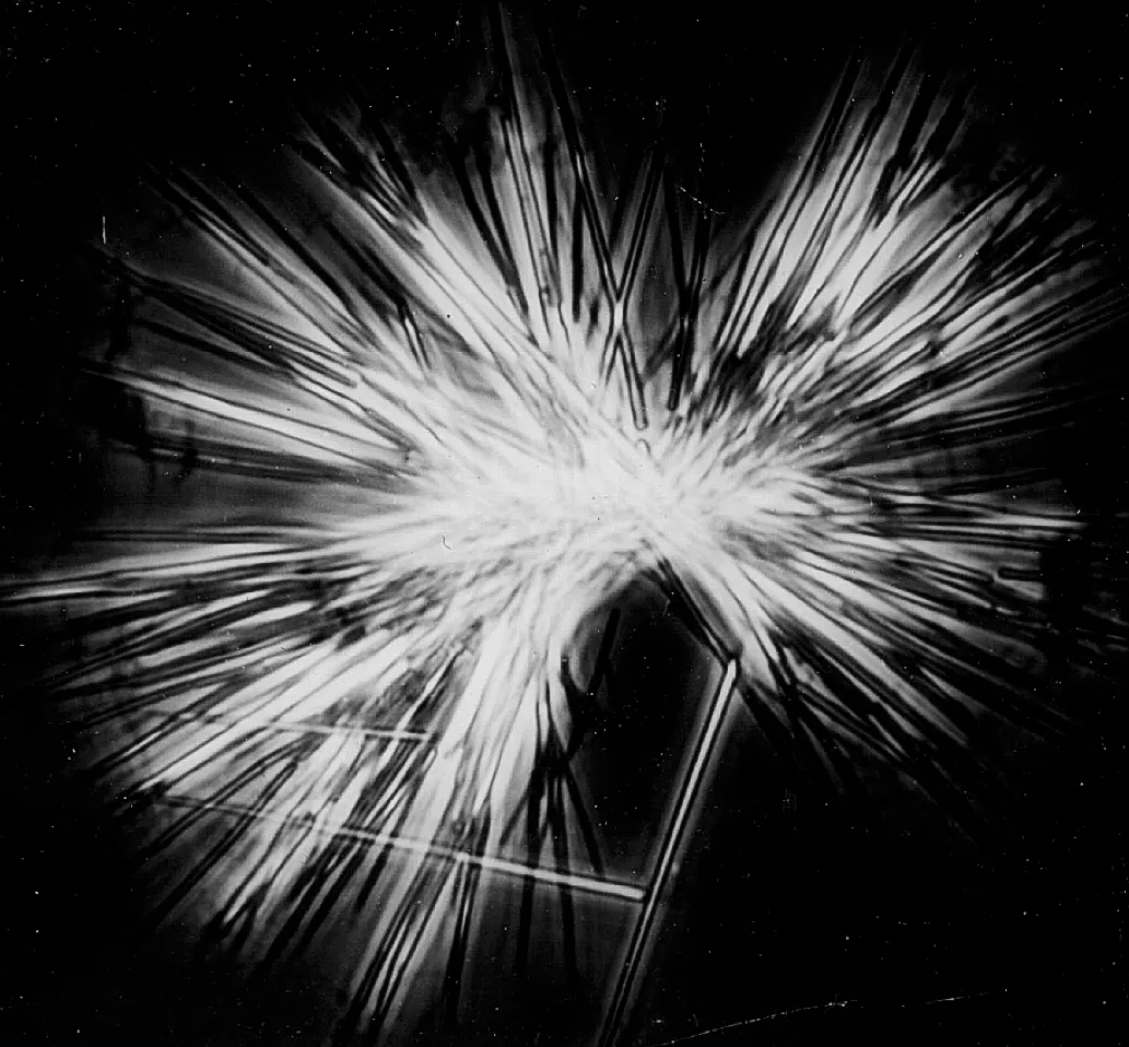 Cypridina luciferin crystals.