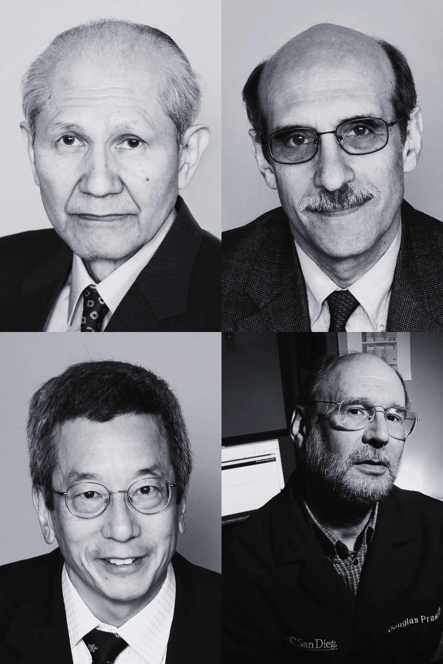 Osamu Shimomura, Martin Chalfie, Douglas Prasher, and Roger Tsien.