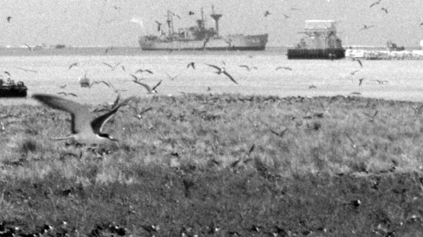 Sand Island during Operation Shady Grove, detail.