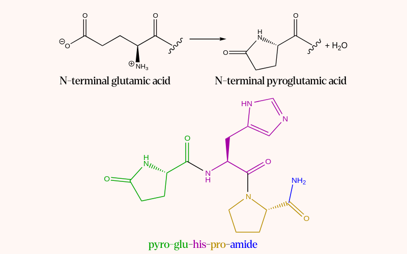 Chemical structure diagram of pyro-glu-his-pro-amide, the structure of TRF.