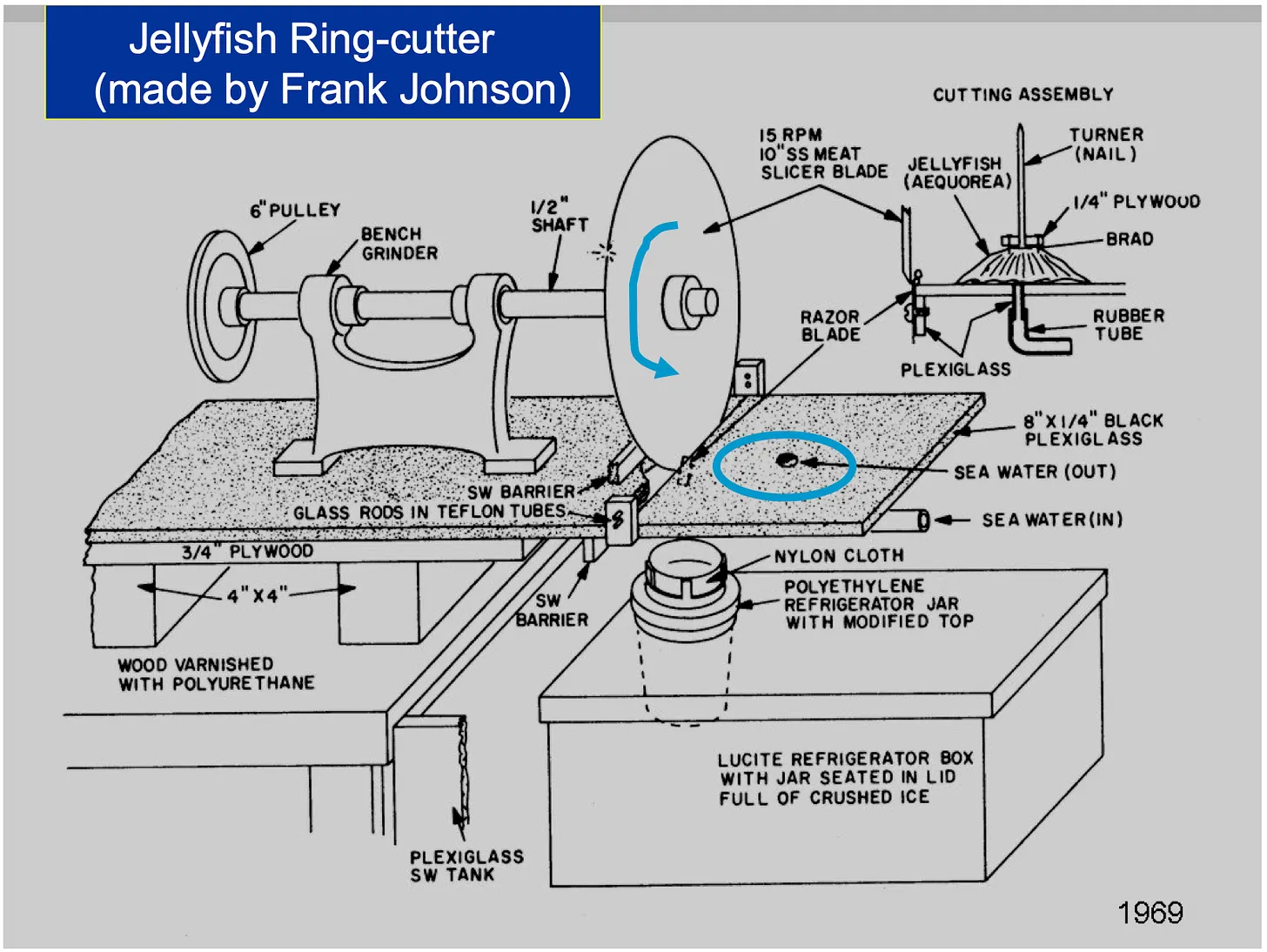 The jellyfish cutting machine in use.