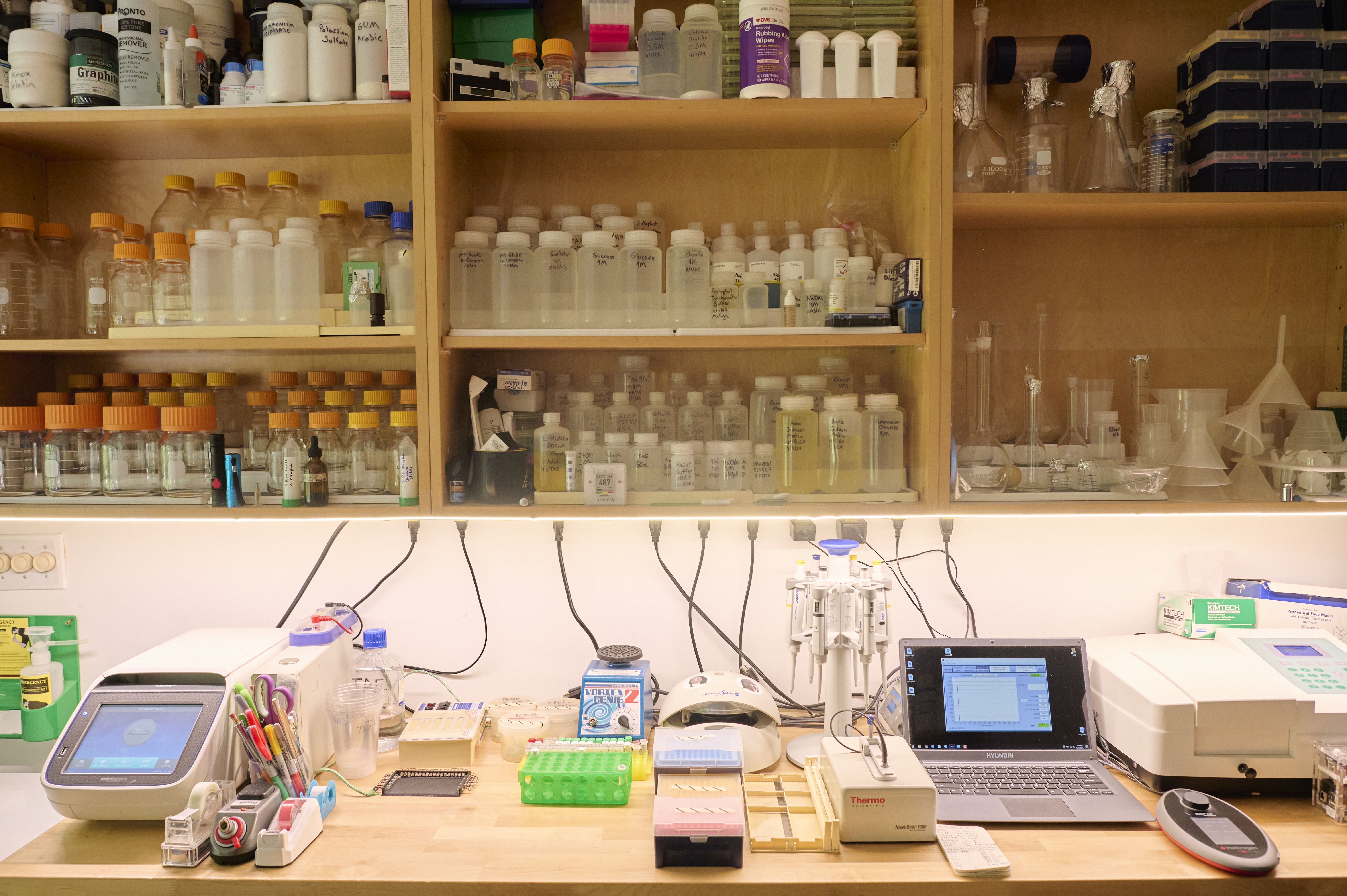 Plants growing under lights in the home laboratory.