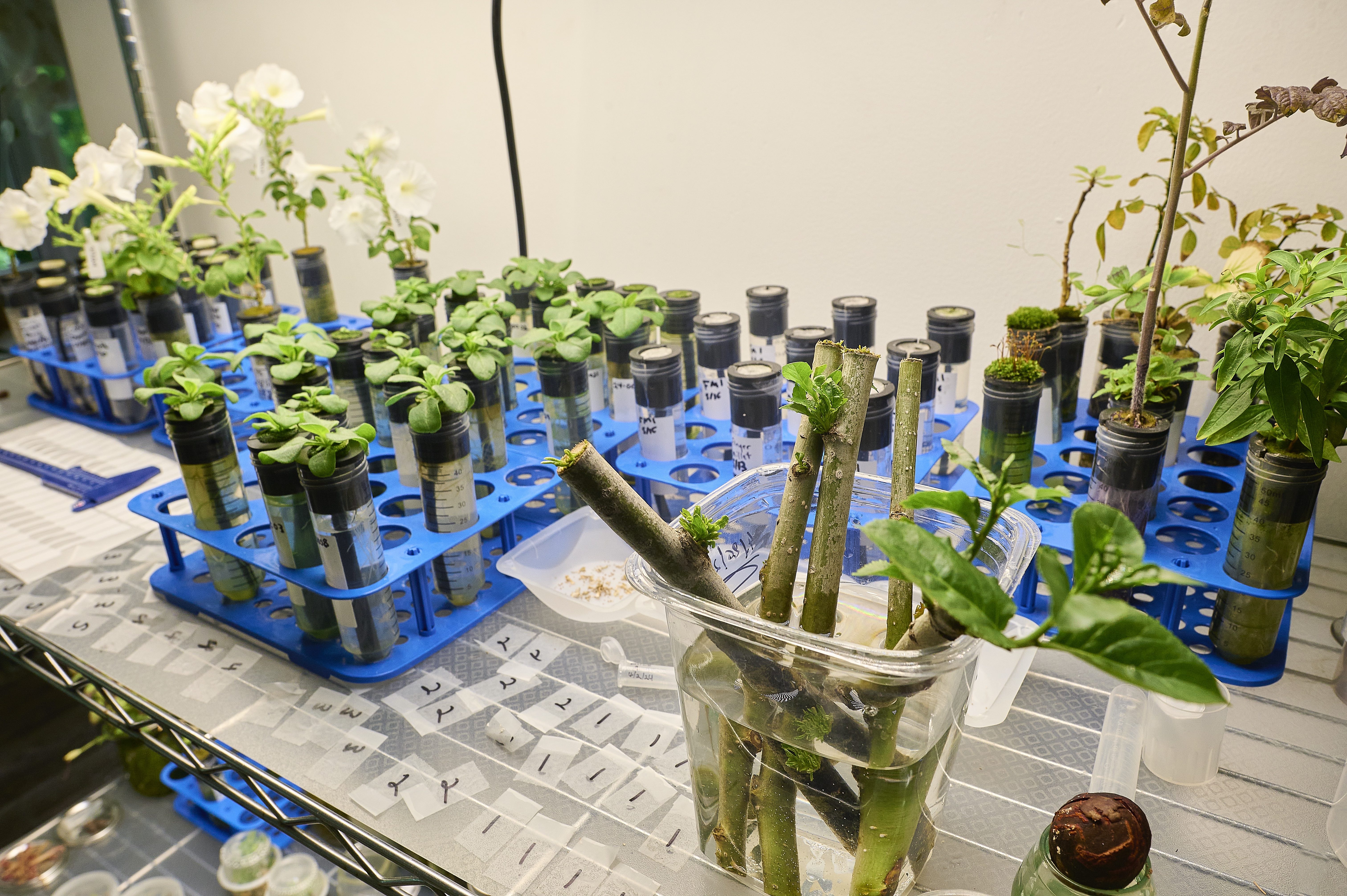 Equipment inside Sebastian Cocioba's home laboratory.