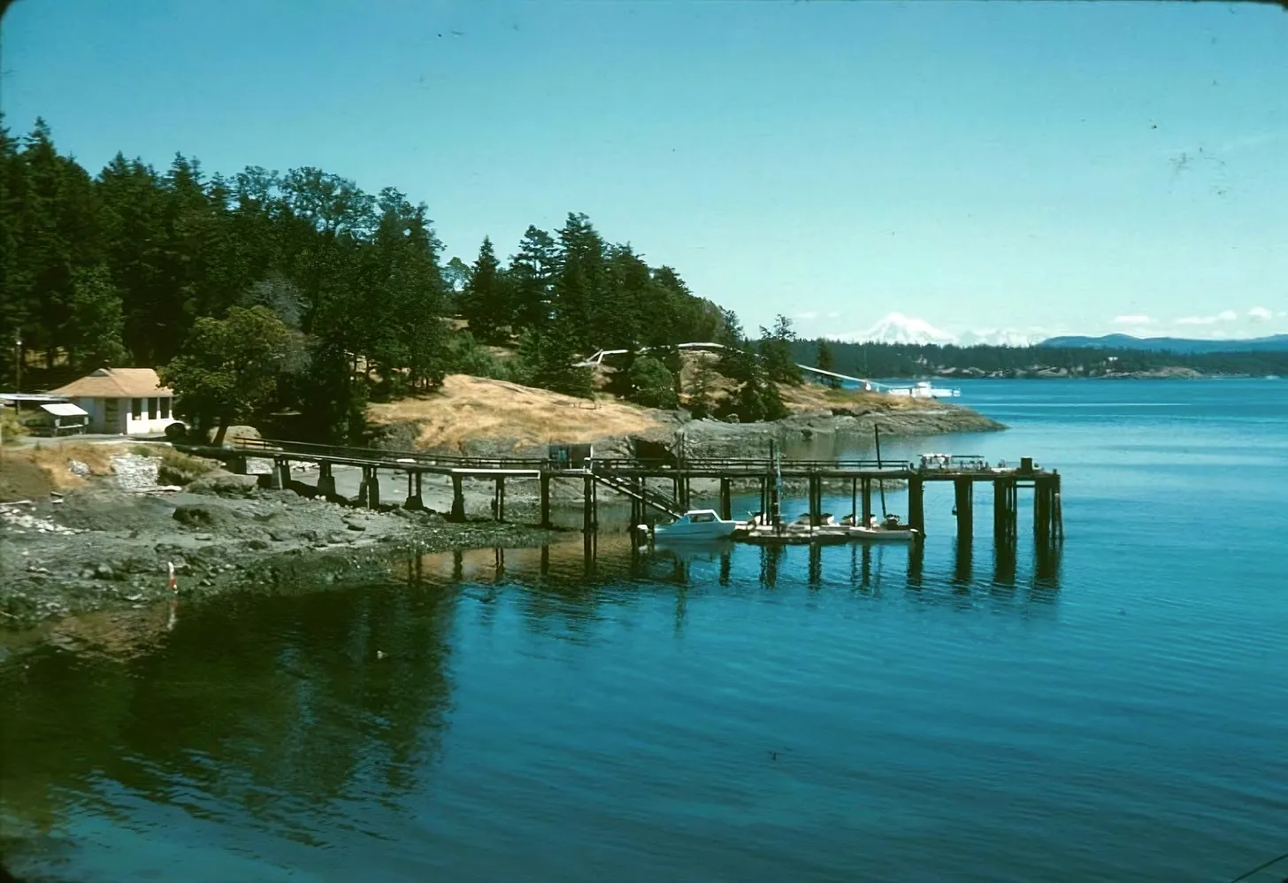 University of Washington, Friday Harbor Laboratories, 1961.