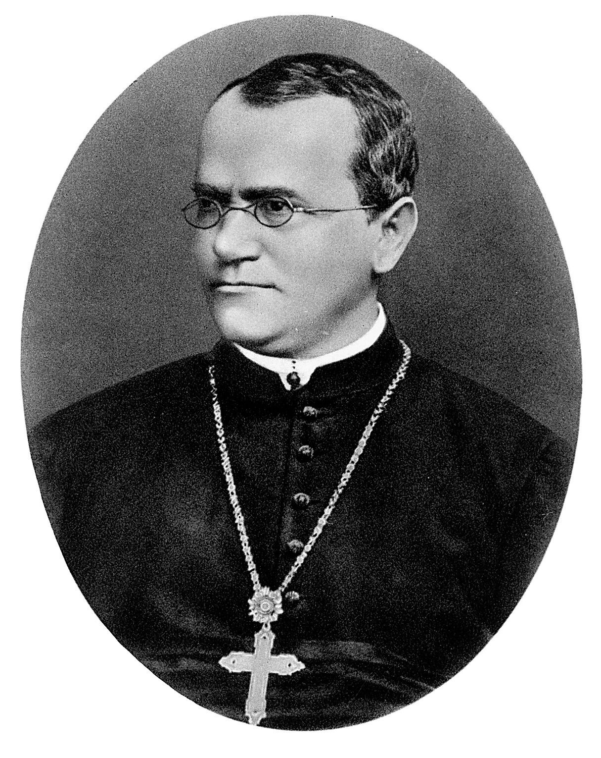 Portrait of Gregor Mendel, an Augustinian friar.
