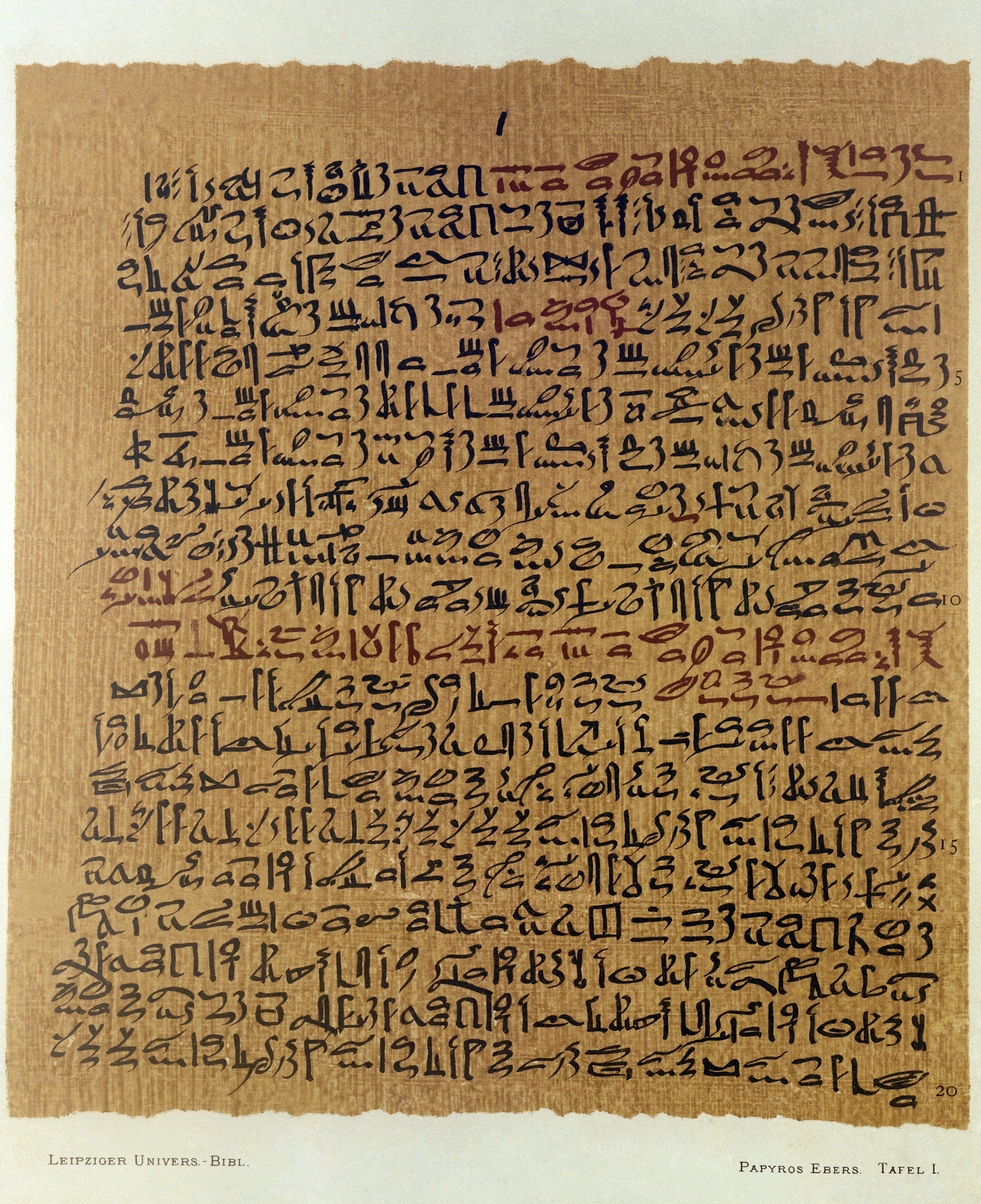 A reproduction of the Ebers Papyrus.