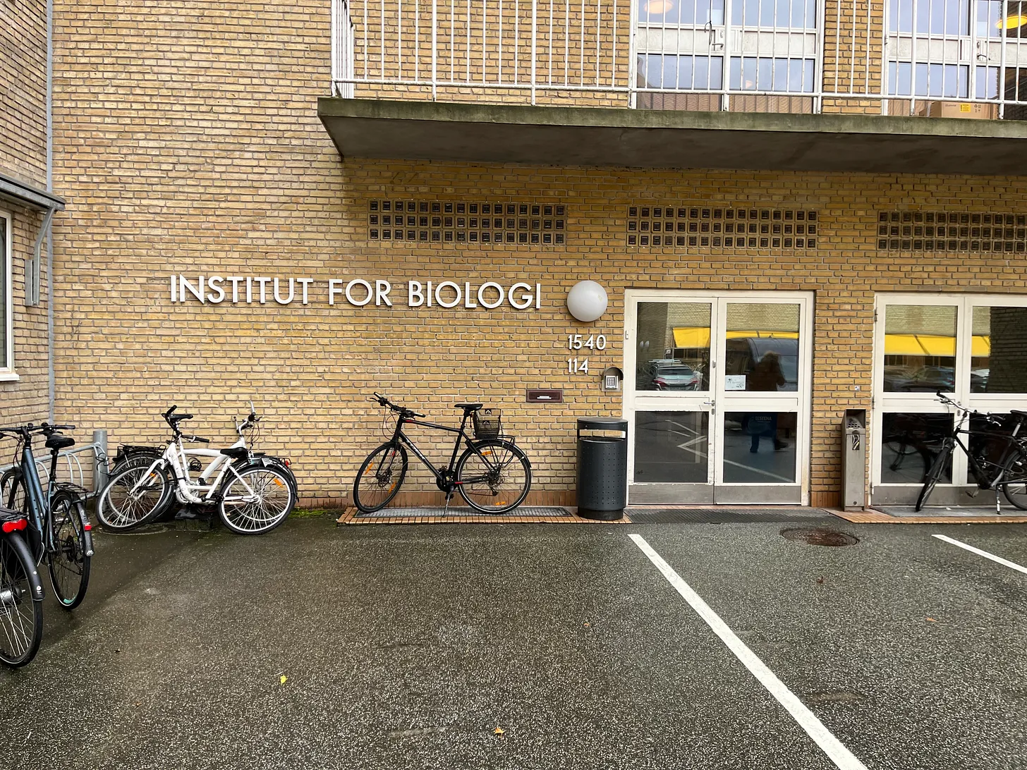 The Institut for Biologi at Aarhus University, with bikes parked in front.