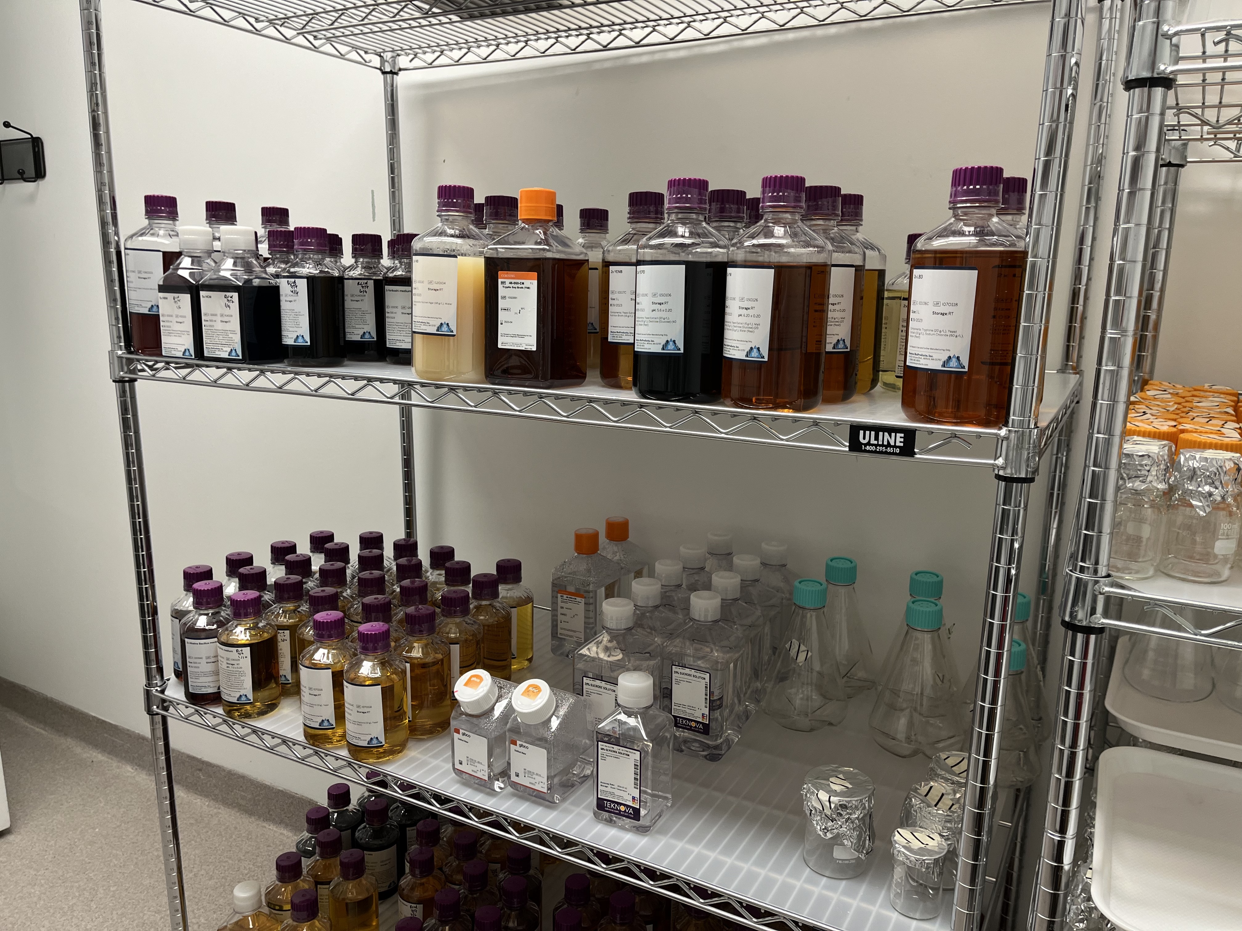 A collection of growth media—made from blood, organs, or else built up from chemical components.