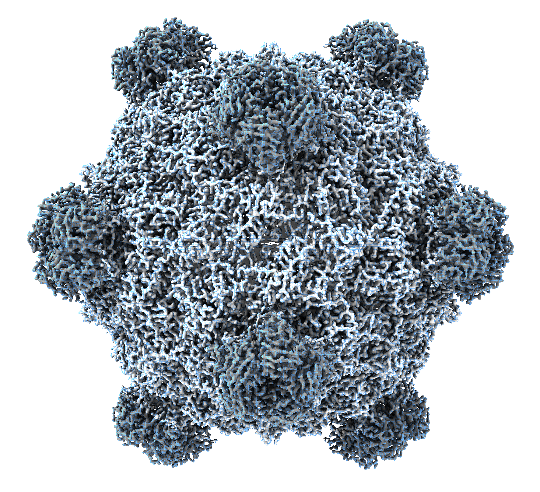 Structural rendering of Evo-Φ36, an AI-designed phage.