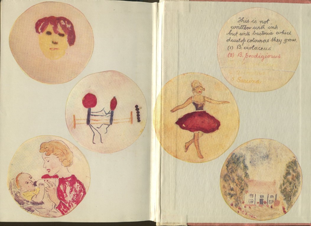 Agar art paintings by Alexander Fleming.