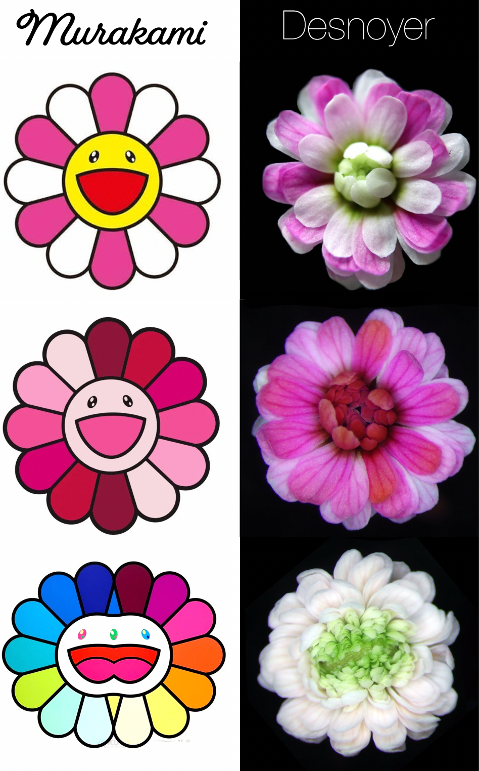 Murakami's synthetically bright flowers, which are secretly crying.