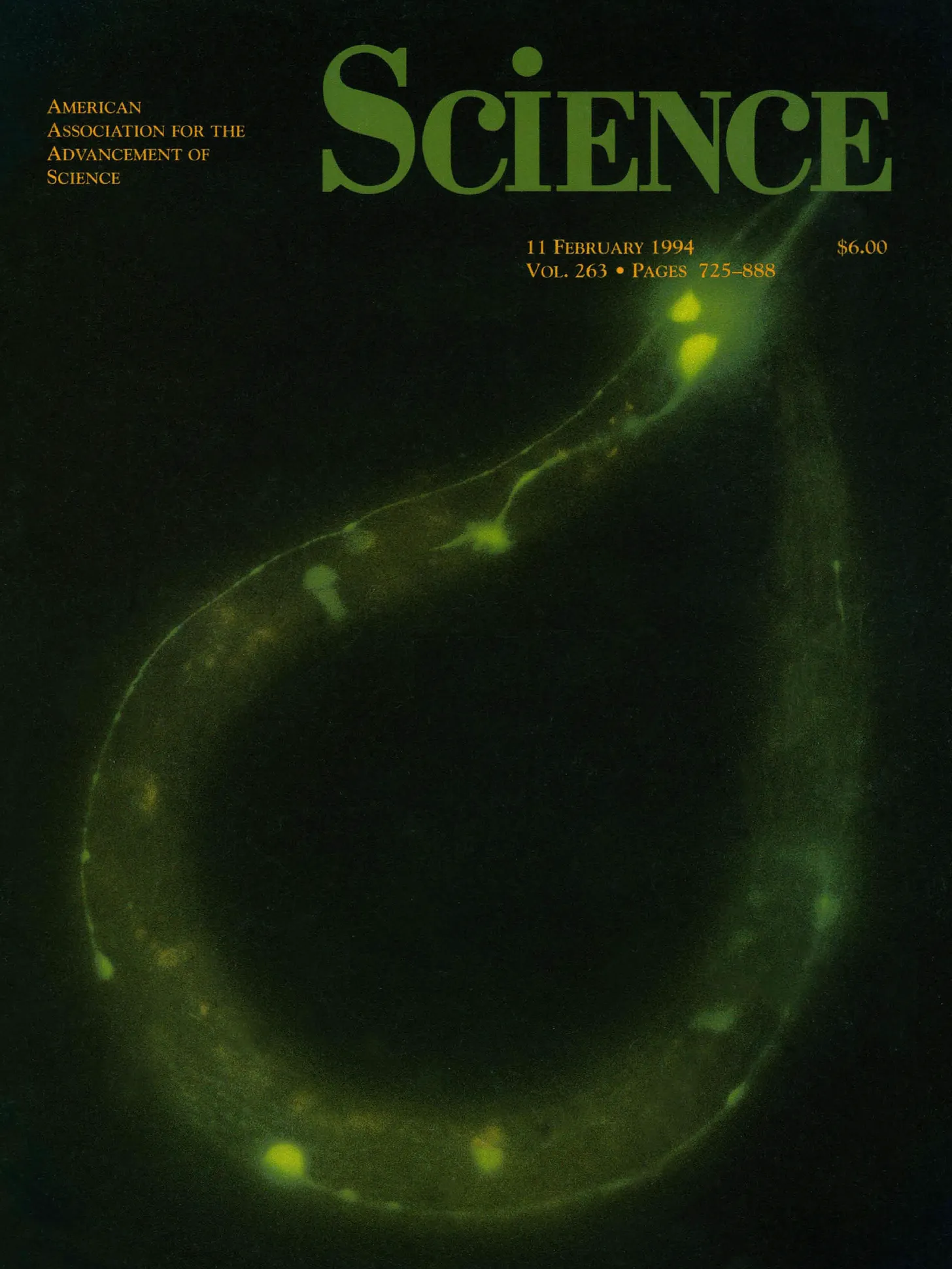 Martin Chalfie's 1994 paper on the cover of Science.