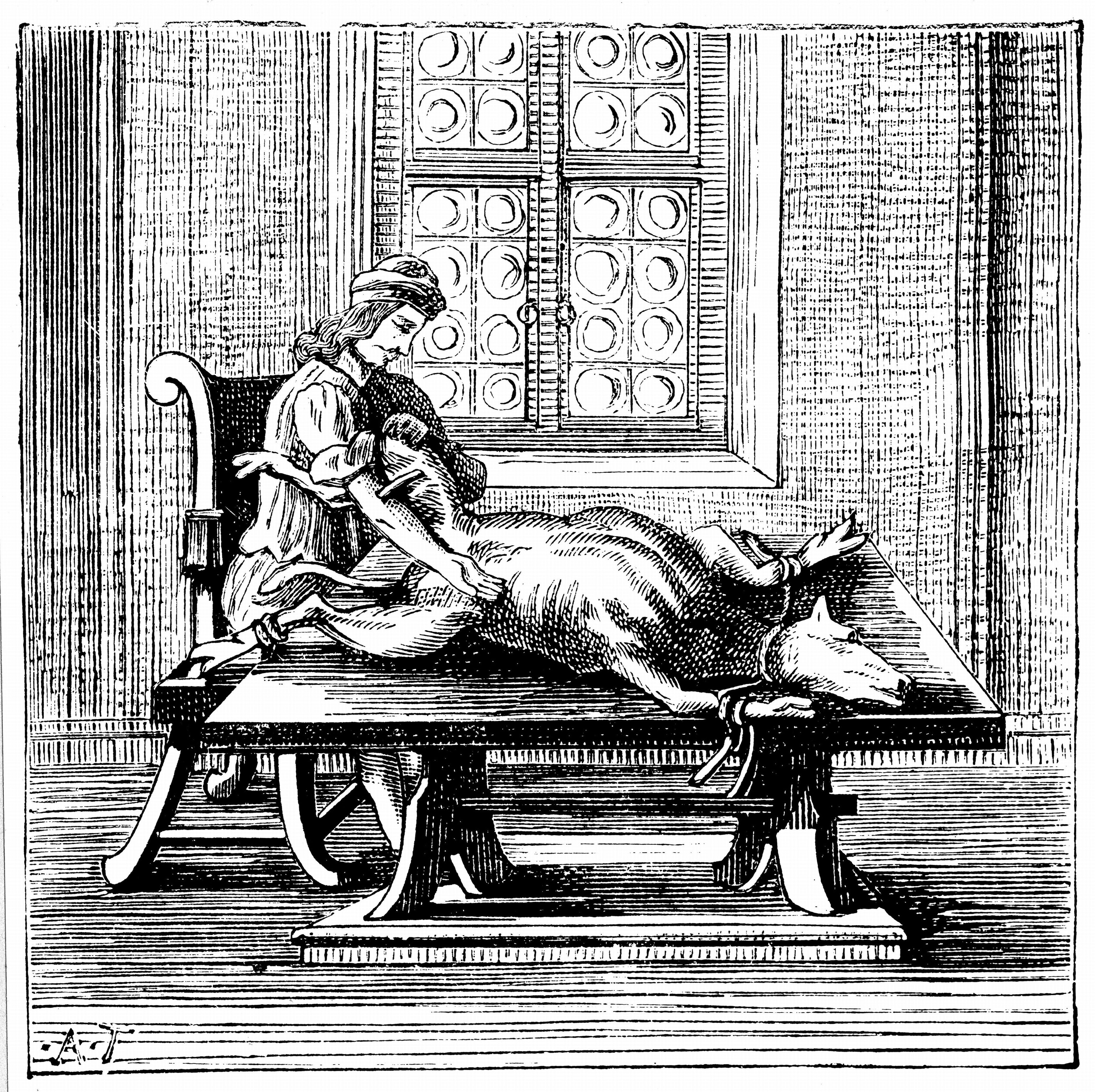 Engraving of an early animal-to-human blood transfusion, 1679.