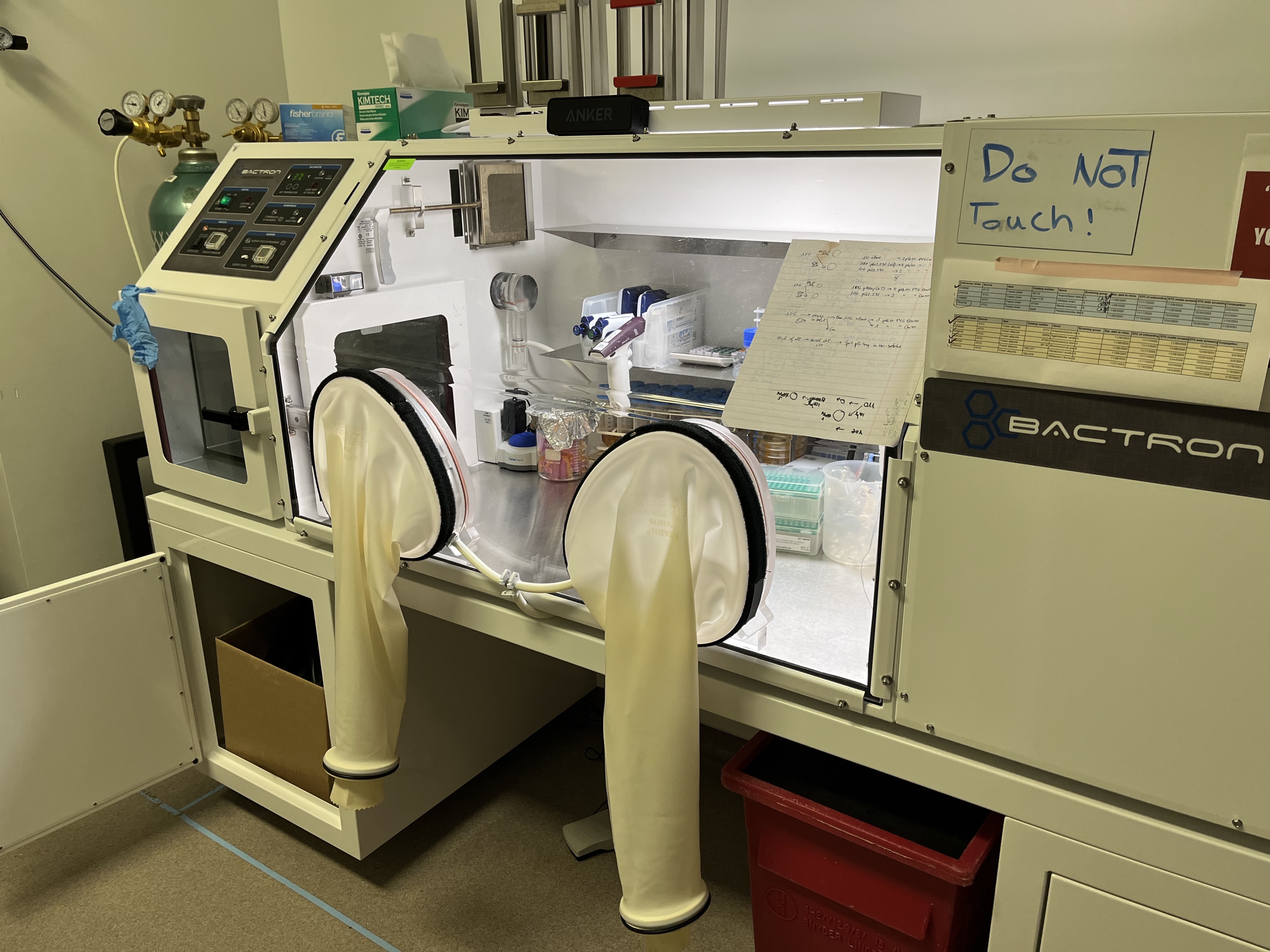 An anaerobic chamber is used to work with organisms that would die if exposed to oxygen.