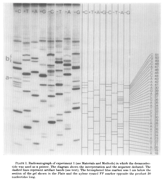 Output from Sanger and Coulson’s Plus-Minus method
