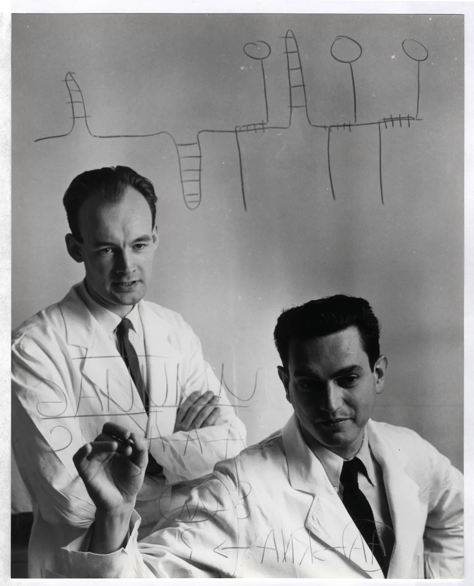 Nirenberg and Matthaei in the laboratory.