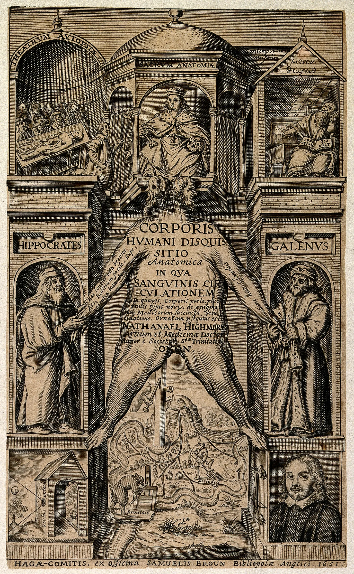 A triumphal arch with skin from a flayed man stretched between statues of Hippocrates and Galen.