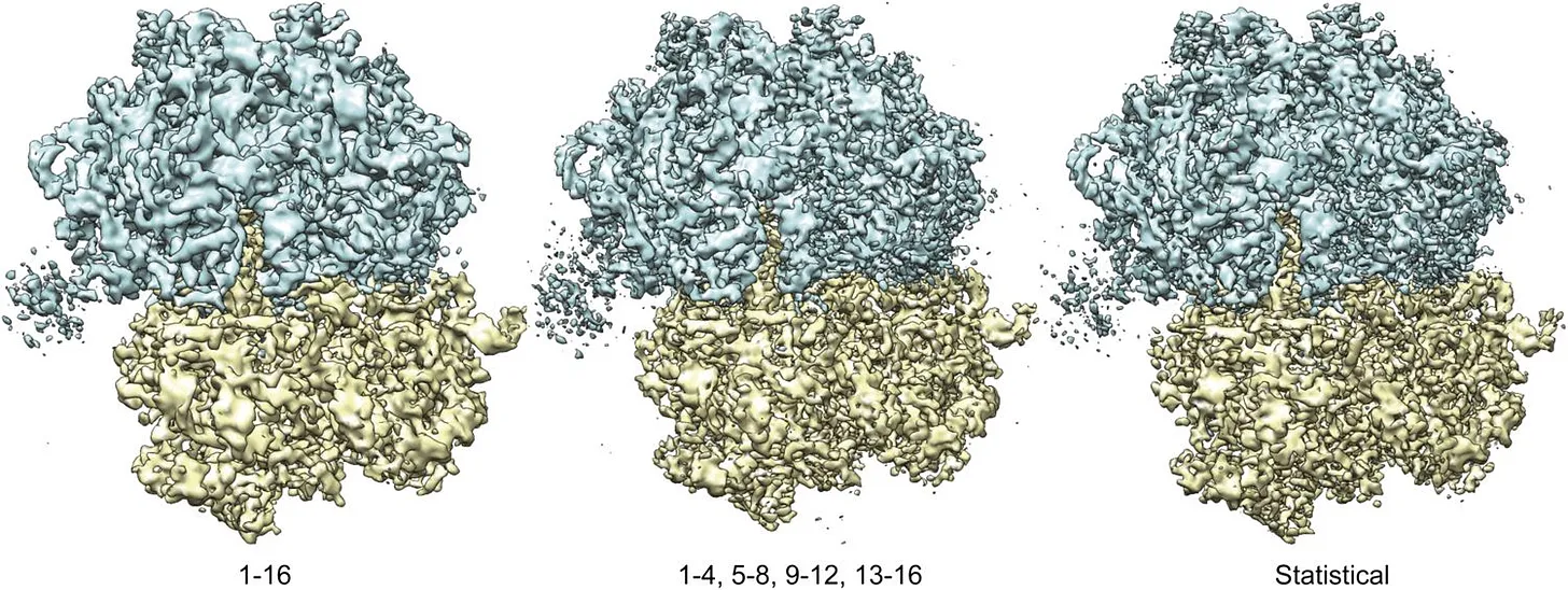 Structures of the 70S ribosome