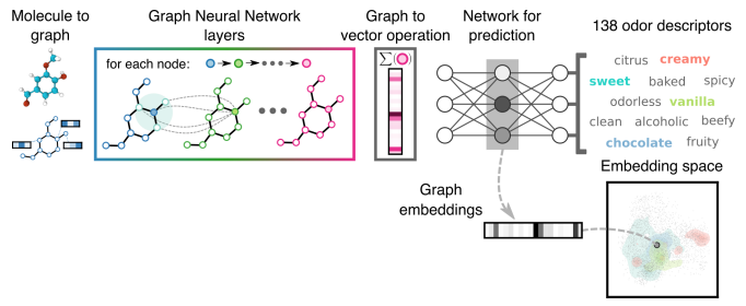 Graph Neural Network workflow for learned embeddings of scents