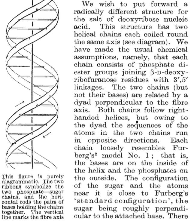 Watson and Crick published their DNA structure in Nature.