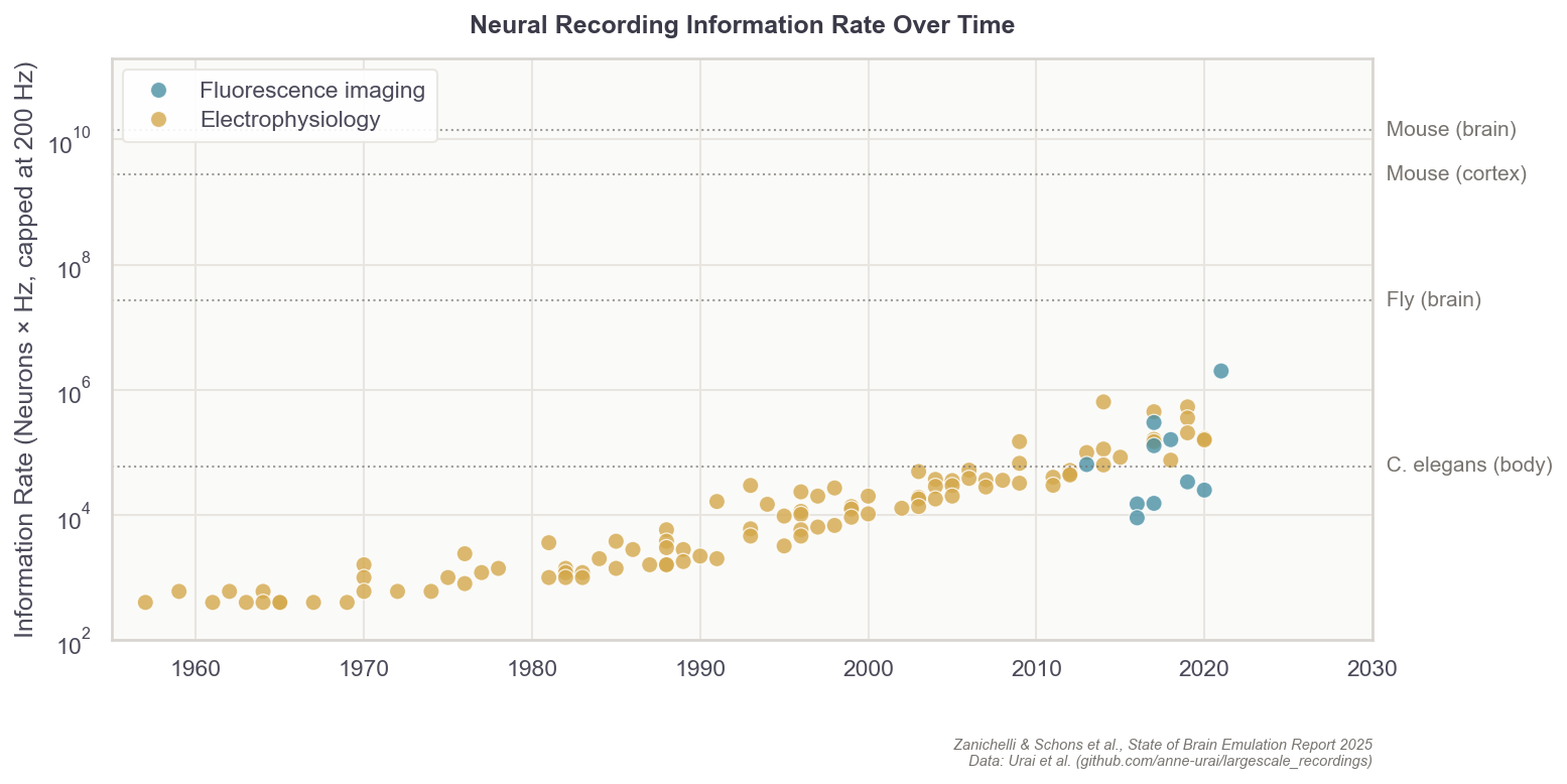 Growth in neural recording capacity from 1955 to 2020