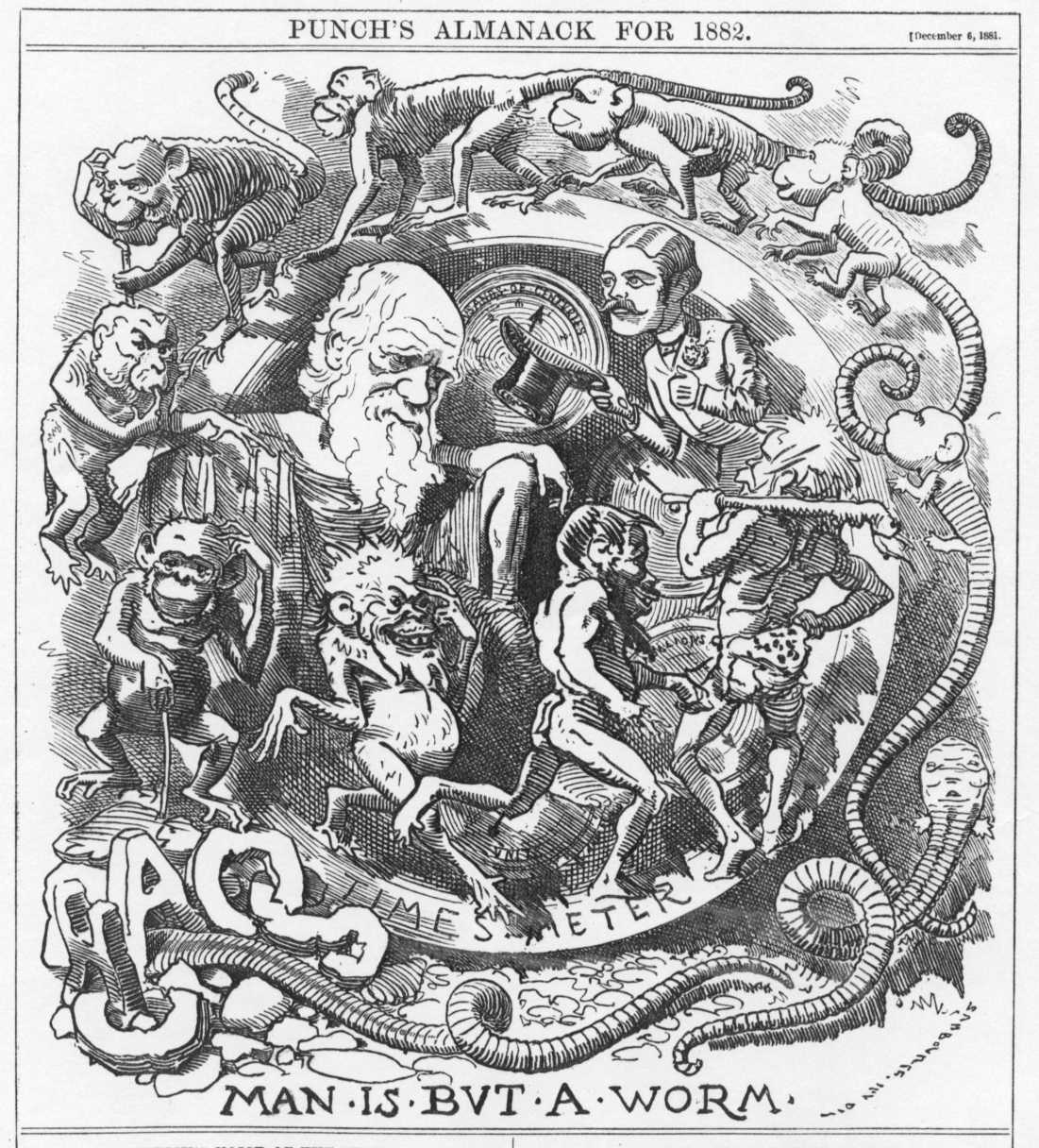 Punch cartoon mocking Darwin's theory