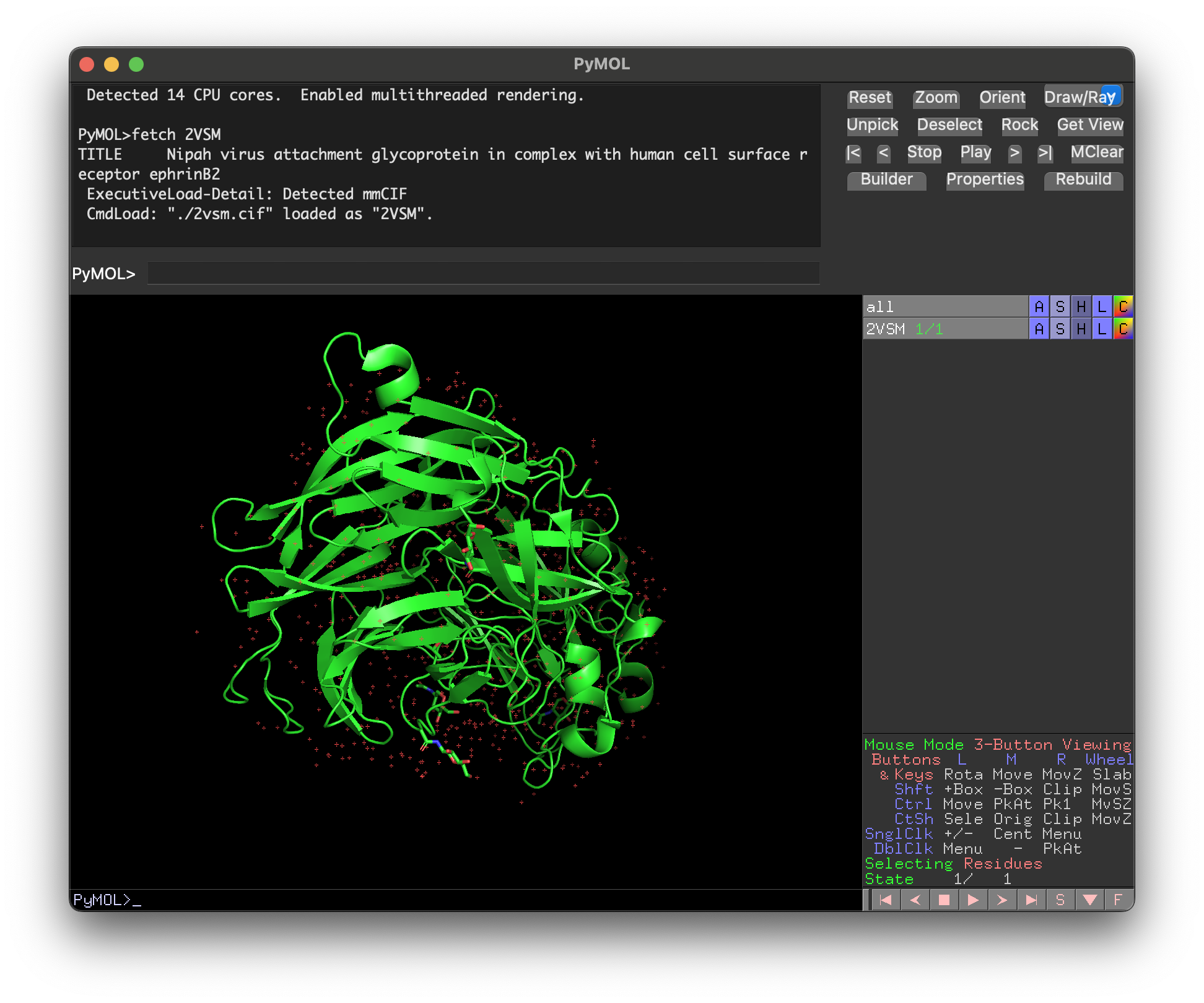 Loading the 2VSM complex in PyMOL