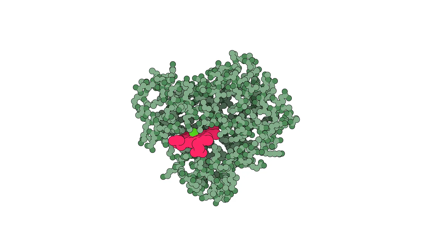 Structure of a myoglobin protein